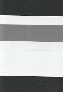 Рулонные шторы день-ночь для проема Салерно, серый 2002 купить в Дедовске с доставкой